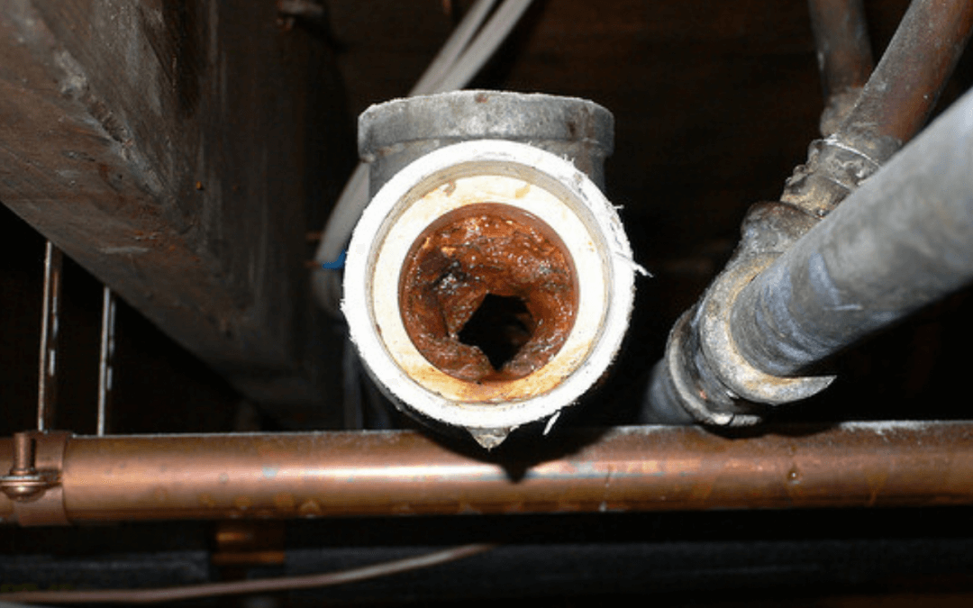 Sewer Line Blockages